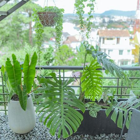 Hilly Hostel Đà Lạt Exterior foto