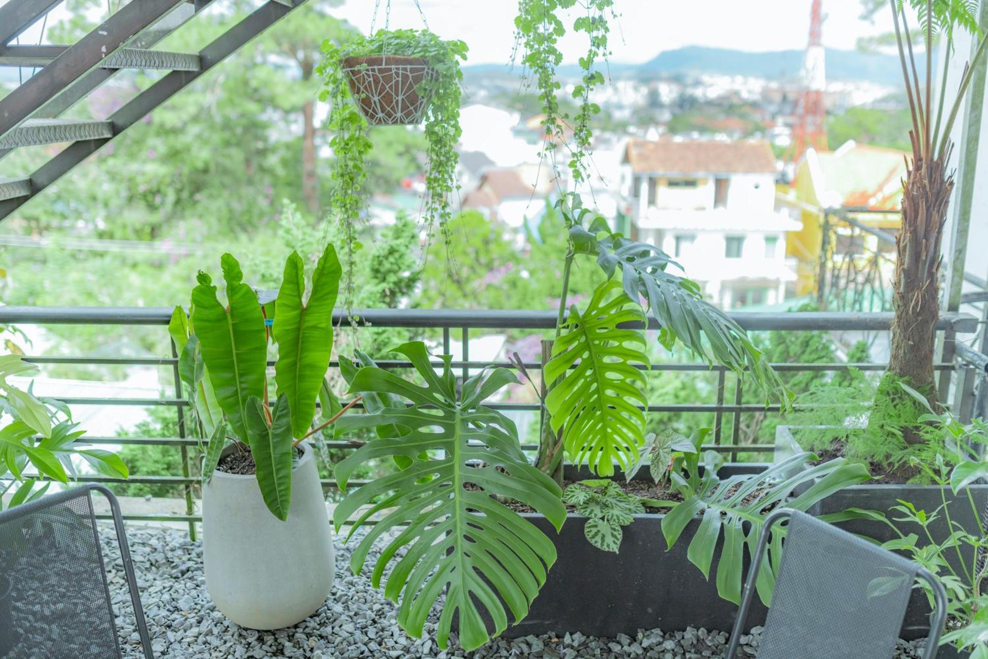 Hilly Hostel Đà Lạt Exterior foto